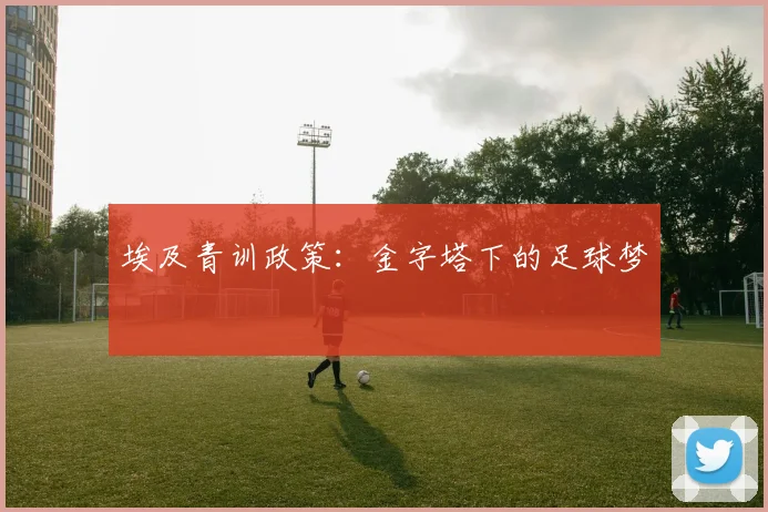 埃及青训政策：金字塔下的足球梦