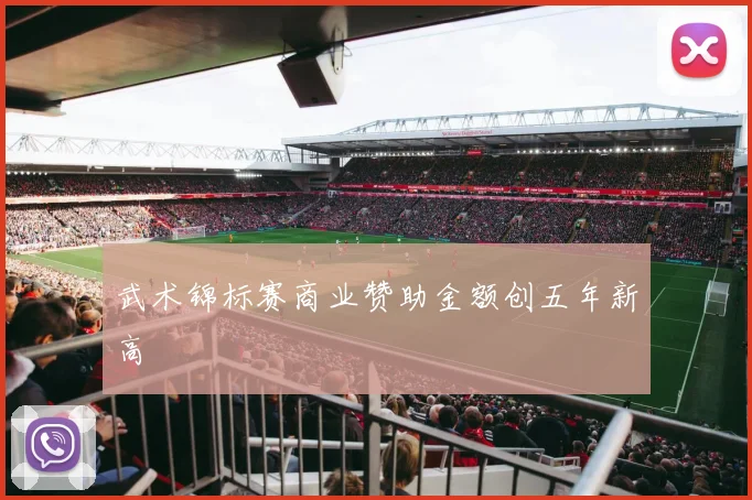 武术锦标赛商业赞助金额创五年新高